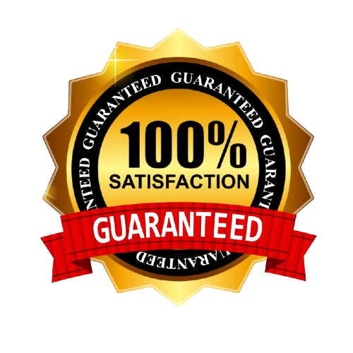 100-satisfaction